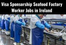Visa Sponsorship Seafood Factory Worker Jobs in Ireland