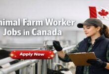 Animal Farm Worker Jobs in Canada