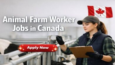 Animal Farm Worker Jobs in Canada