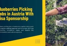 Blueberries Picking Jobs in Austria 