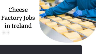 Cheese Factory Jobs in Ireland