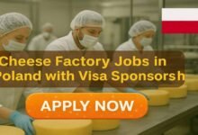 Cheese Factory Jobs in Poland with Visa Sponsorship