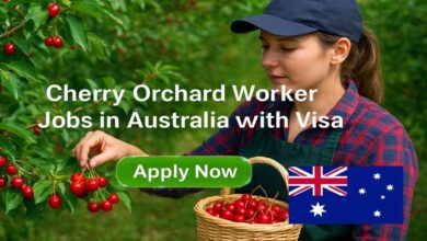 Cherry Orchard Worker Jobs in Australia with Visa