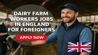 Dairy Farm Workers Jobs in England for Foreigners