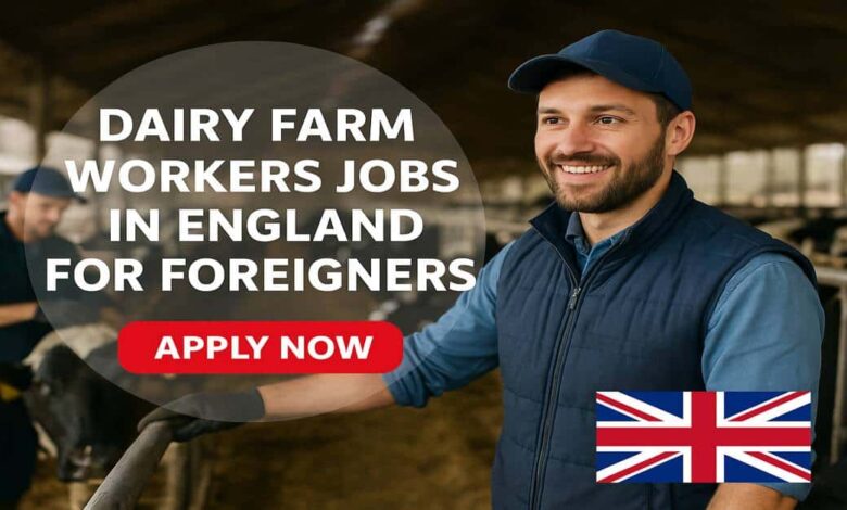 Dairy Farm Workers Jobs in England for Foreigners