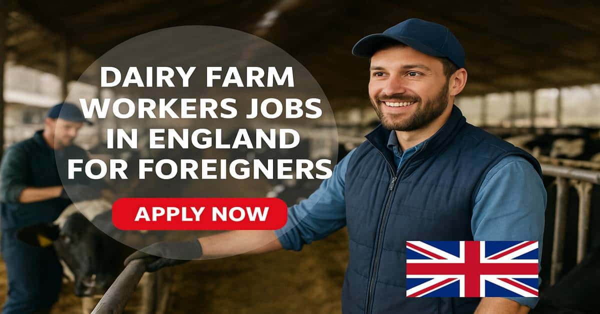 Dairy Farm Workers Jobs in England for Foreigners 2026