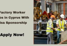 Factory Worker Jobs in Cyprus With Visa Sponsorship