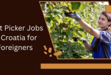 Fruit Picker Jobs in Croatia for Foreigners