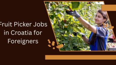 Fruit Picker Jobs in Croatia for Foreigners