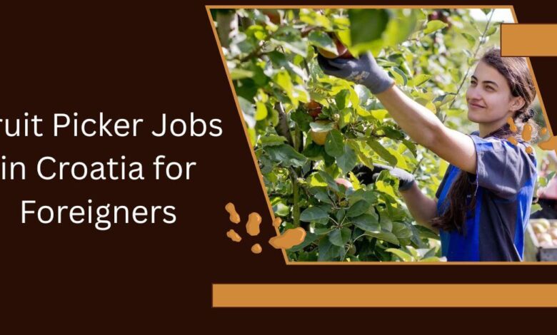 Fruit Picker Jobs in Croatia for Foreigners
