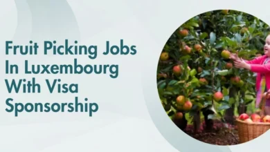 Fruit Picking Jobs In Luxembourg