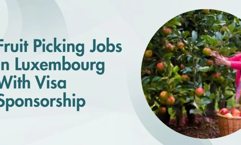 Fruit Picking Jobs In Luxembourg
