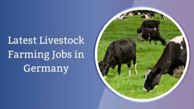 Latest Livestock Farming Jobs in Germany