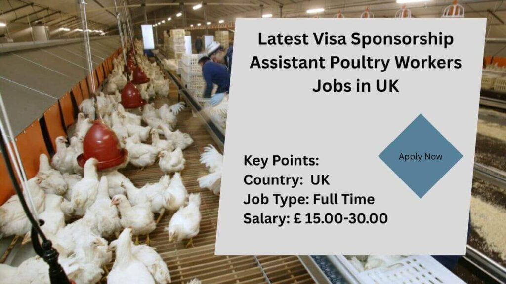 Latest Visa Sponsorship Assistant Poultry Workers Jobs in UK