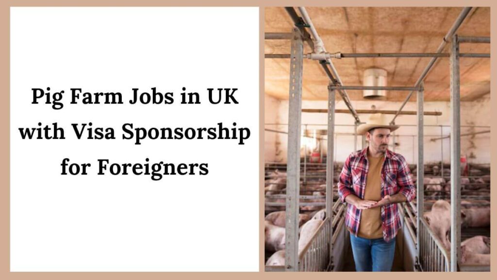 SEASONAL JOBS IN EUROPE FOR FOREIGNERS 2025 visual data 2