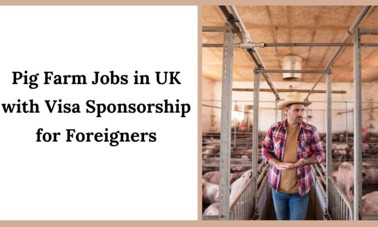 Pig Farm Jobs in UK with Visa Sponsorship for Foreigners