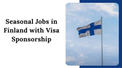 Seasonal Jobs in Finland with Visa Sponsorship