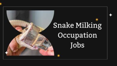 Snake Milking Occupation Jobs