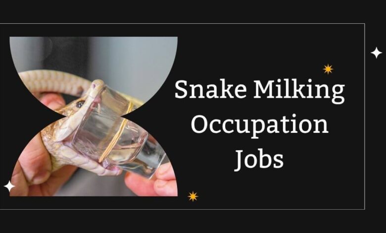 Snake Milking Occupation Jobs