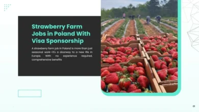 Strawberry Farm Jobs in Poland