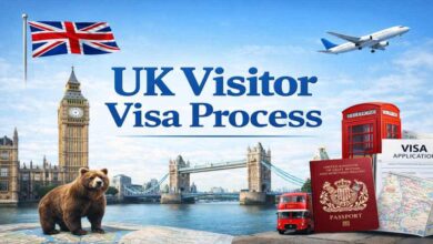 UK Visitor Visa Process