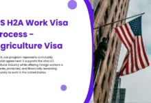 US H2A Work Visa Process