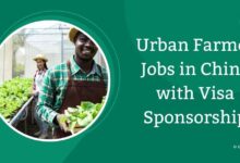 Urban Farmer Jobs in China with Visa Sponsorship
