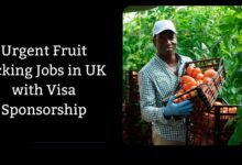 Urgent Fruit Picking Jobs in UK with Visa Sponsorship