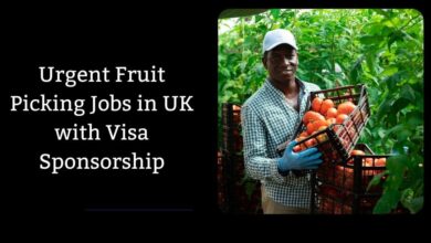 Urgent Fruit Picking Jobs in UK with Visa Sponsorship