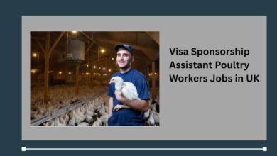Visa Sponsorship Assistant Poultry Workers Jobs in UK