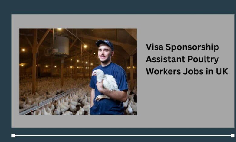 Visa Sponsorship Assistant Poultry Workers Jobs in UK