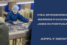 Visa Sponsorship Berries Packing Jobs in Portugal