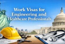 Work Visas for Engineering and Healthcare Professionals