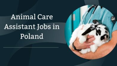 Animal Care Assistant Jobs in Poland