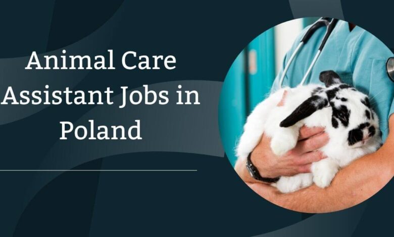 Animal Care Assistant Jobs in Poland