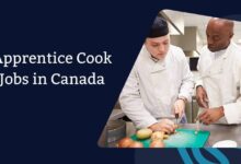 Apprentice Cook Jobs in Canada