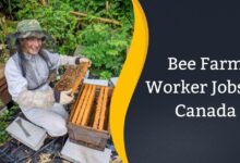 Bee Farm Worker Jobs in Canada