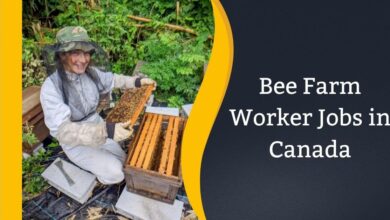 Bee Farm Worker Jobs in Canada