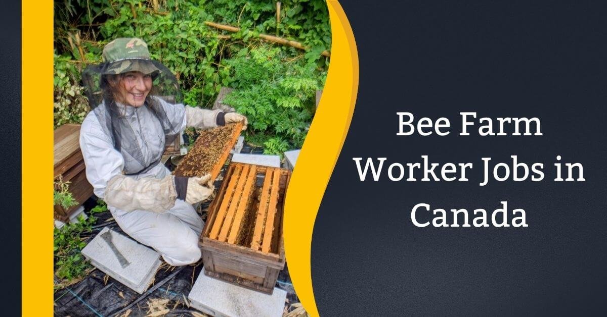 Bee Farm Worker Jobs in Canada 2026