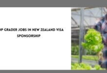 Crop Grader Jobs in New Zealand