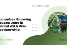 Cucumber Growing Houses Jobs in Poland