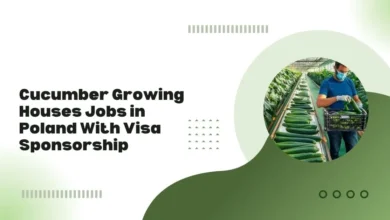 Cucumber Growing Houses Jobs in Poland