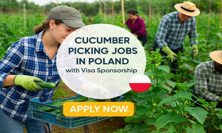 Cucumber Picking Jobs in Poland with Visa Sponsorship