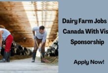Dairy Farm Jobs in Canada