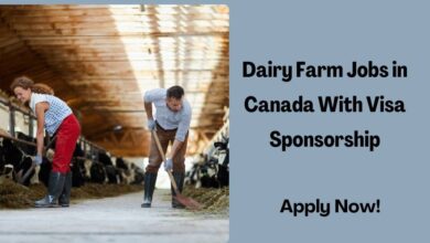 Dairy Farm Jobs in Canada With Visa Sponsorship