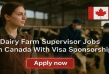 Dairy Farm Supervisor Jobs in Canada With Visa Sponsorship