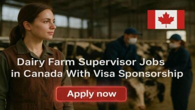 Dairy Farm Supervisor Jobs in Canada With Visa Sponsorship