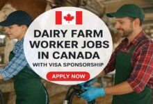 Dairy Farm Worker Jobs in Canada With Visa Sponsorship