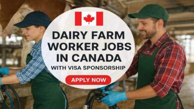 Dairy Farm Worker Jobs in Canada With Visa Sponsorship