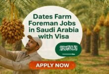 Dates Farm Foreman Jobs in Saudi Arabia with Visa